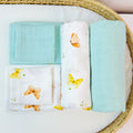 Fresh Butterfly - Kit Duo